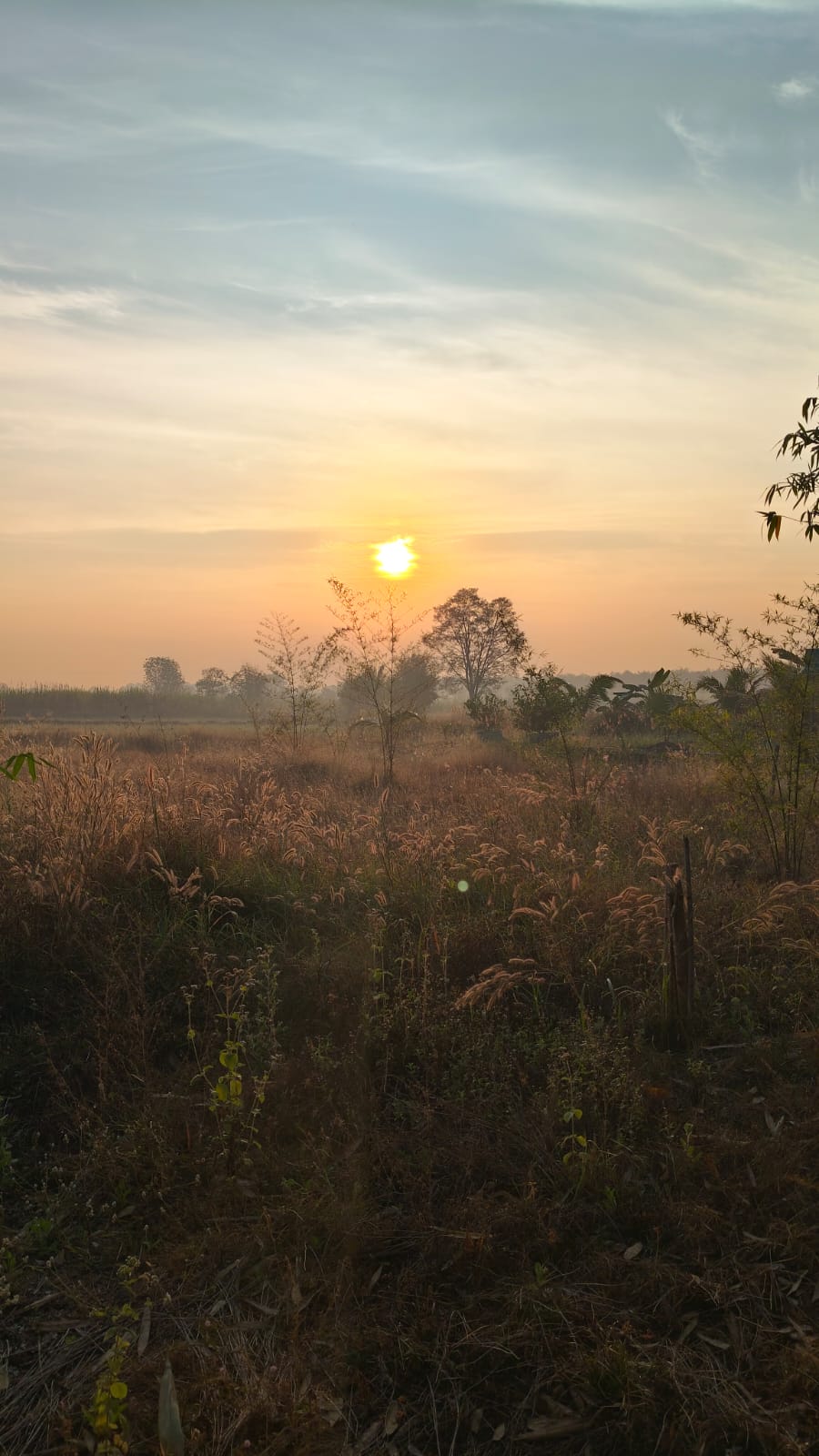 Isaan countryside at dawn