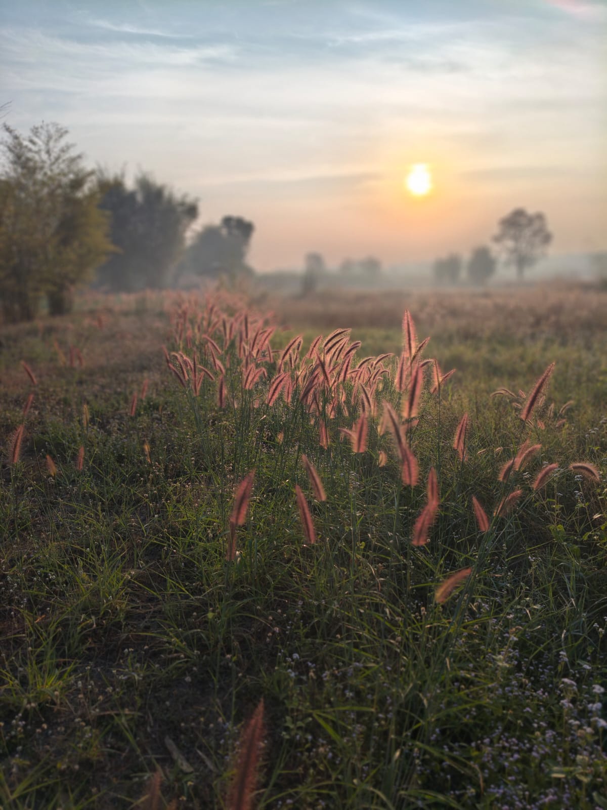 Beautiful sunrise in rural Isaan