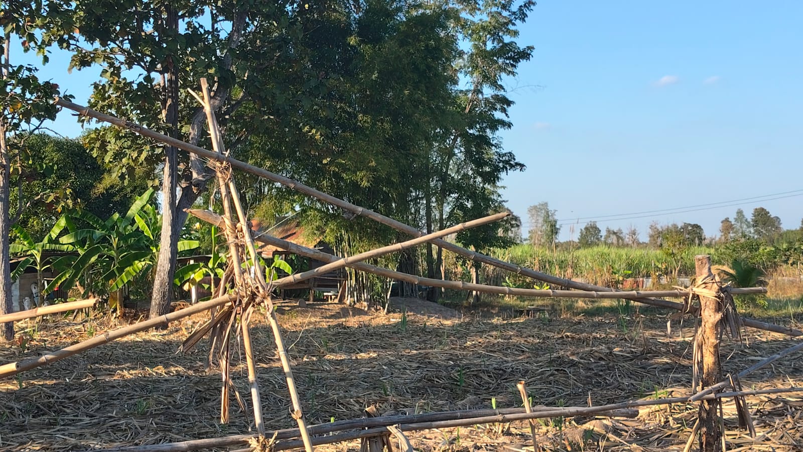 Traditional bamboo farm structure