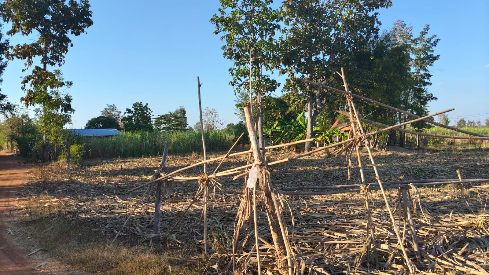 Farm bamboo construction