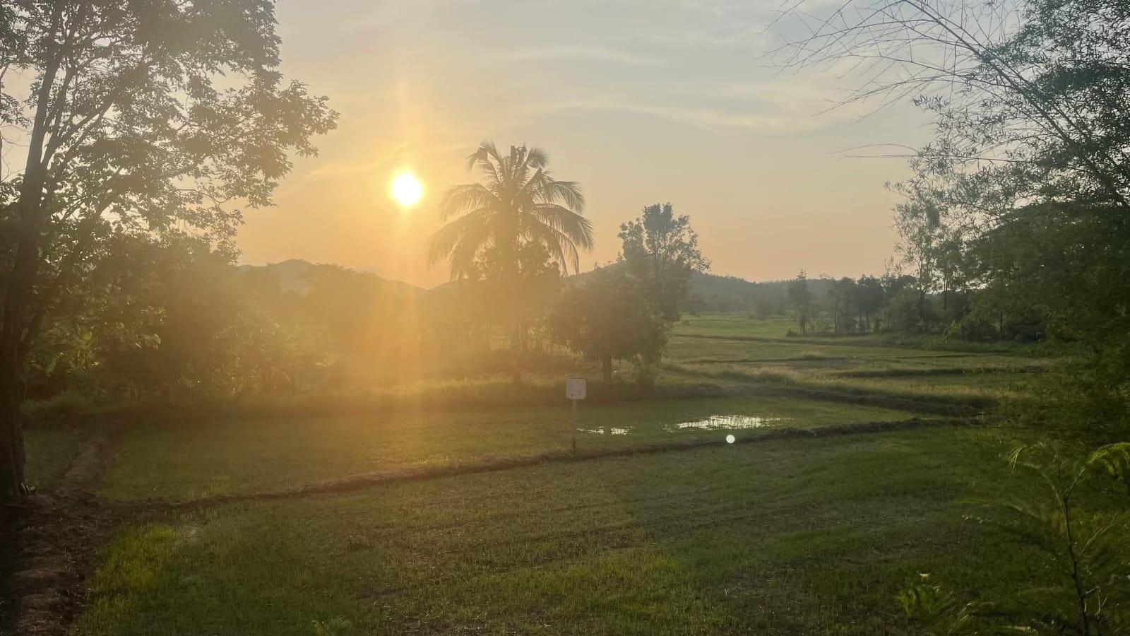 Nature and Village Life
