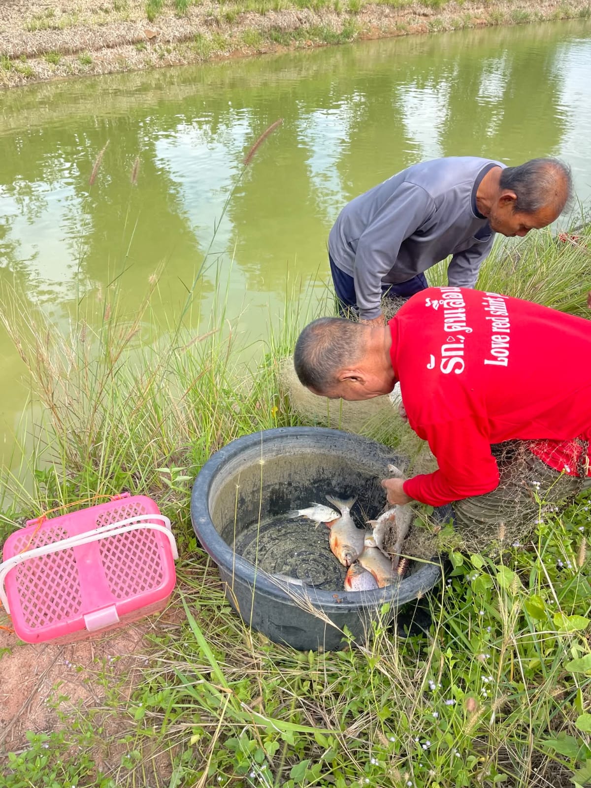 Traditional Fishing & Countryside