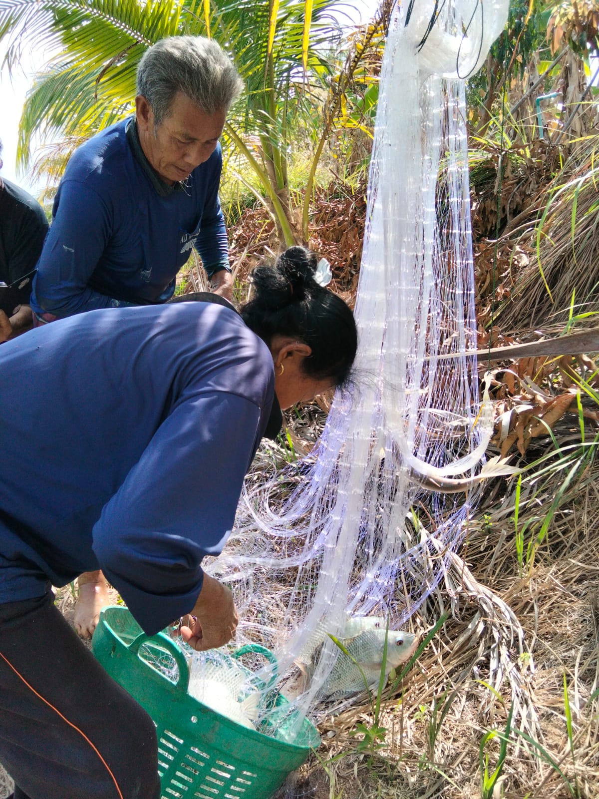 Farm Activities and Fishing