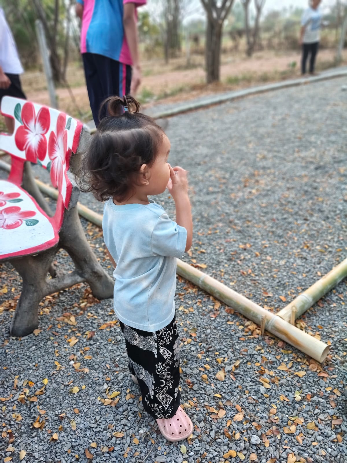 Village Life & Cultural Immersion